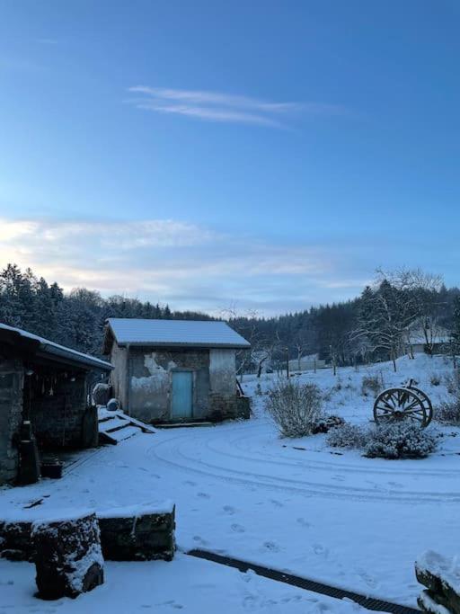 Le Petit Gite Nature Villa Hadol Exteriör bild